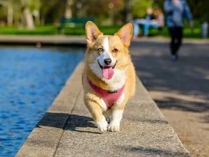great memory technique for kinesthetic learners