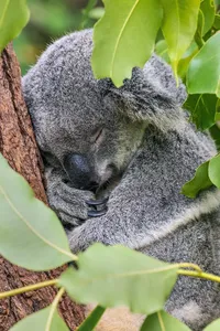 Rest After Learning