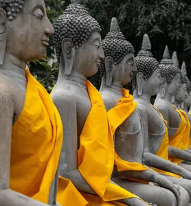 Memory Tip: How Does Yoga Help Your Mind?