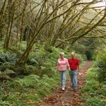 stroll in forest -- free physical activity is one of 7 tips to improve memory from the Mayo Clinic