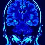 brain image - free Is multi-tasking bad for your memory?
